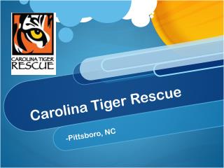 Carolina Tiger Rescue