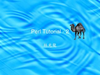 Perl Tutorial - 2