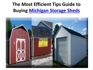 The Most Efficient Tips Guide to Buying Michigan Storage She
