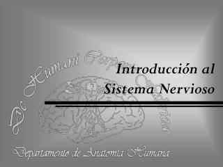 Introducción al Sistema Nervioso