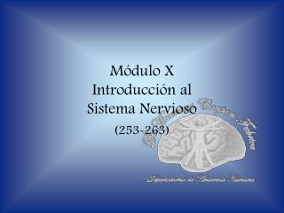 Módulo X Introducción al Sistema Nervioso