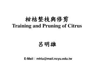 柑桔整枝與修剪 Training and Pruning of Citrus