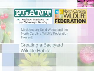 Creating a Backyard Wildlife Habitat