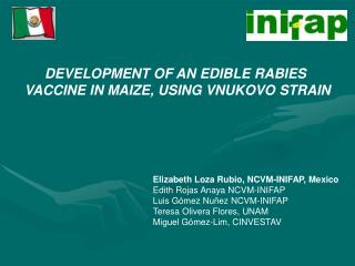 DEVELOPMENT OF AN EDIBLE RABIES VACCINE IN MAIZE, USING VNUKOVO STRAIN