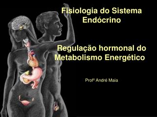 Fisiologia do Sistema Endócrino Regulação hormonal do Metabolismo Energético Profº André Maia