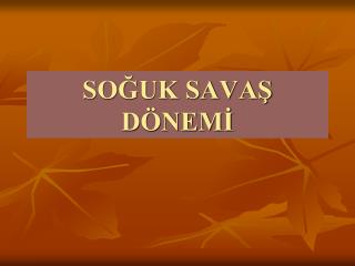 SOĞUK SAVAŞ DÖNEMİ