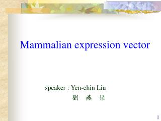 Mammalian expression vector speaker : Yen-chin Liu 劉 燕 琹