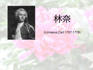 林奈 (Linnaeus,Carl 1707-1778)