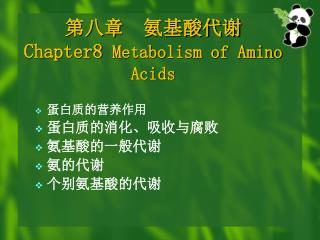 第八章 氨基酸代谢 Chapter8 Metabolism of Amino Acids
