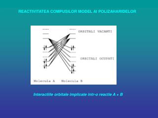 REACTIVITATEA COMPUSILOR MODEL AI POLIZAHARIDELOR