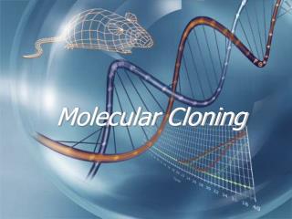 Molecular Cloning