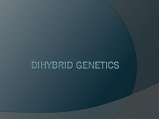 Dihybrid Genetics