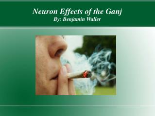 Neuron Effects of the Ganj By: Benjamin Waller