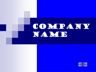 COMPANY NAME