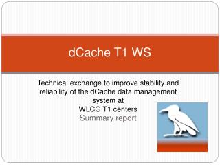 dCache T1 WS