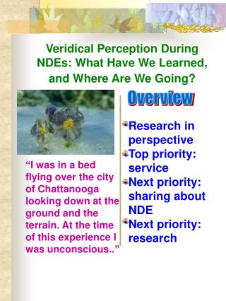 Veridical Perception During NDEs: What Have We Learned, and Where Are We Going?