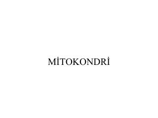 MİTOKONDRİ