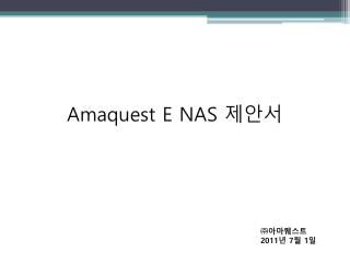 Amaquest E NAS 제안서
