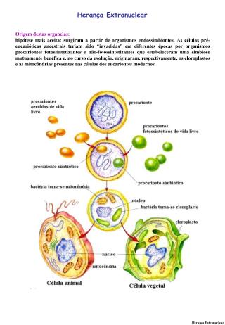 Herança Extranuclear