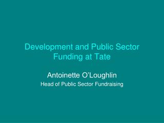 Development and Public Sector Funding at Tate