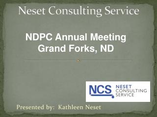 Neset Consulting Service