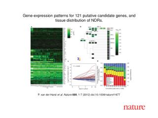 P. van der Harst et al. Nature 000 , 1 - 7 (2012) doi:10.1038/nature 11677