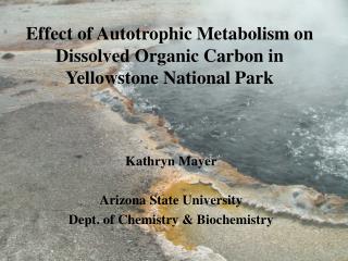 Kathryn Mayer Arizona State University Dept. of Chemistry &amp; Biochemistry