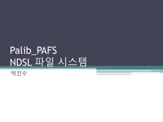 Palib_PAFS NDSL 파일 시스템