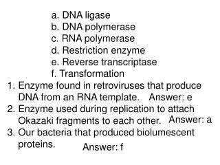 a. DNA ligase 		b. DNA polymerase 		c. RNA polymerase 		d. Restriction enzyme