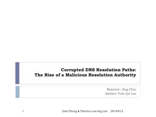 Corrupted DNS Resolution Paths: The Rise of a Malicious Resolution Authority