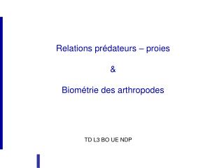 Relations prédateurs – proies &amp; Biométrie des arthropodes