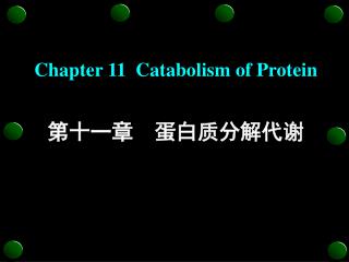 Chapter 11 Catabolism of Protein 第十一章 蛋白质分解代谢