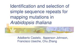 Adalberto Castelo, Apperson Johnson, Francisco Useche, Chu Zhang