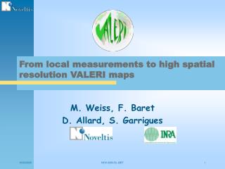 From local measurements to high spatial resolution VALERI maps