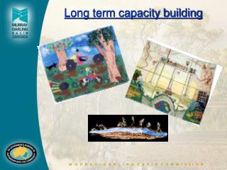 Long term capacity building