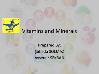 Vitamins and Minerals