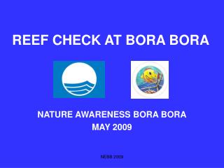 REEF CHECK AT BORA BORA