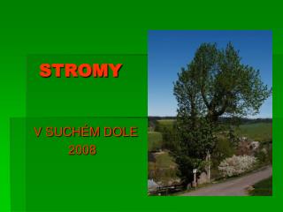 STROMY