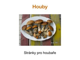 Houby