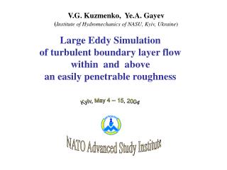 V.G. Kuzmenko, Ye.A. Gayev ( Institute of Hydromechanics of NASU, Kyiv, Ukraine )