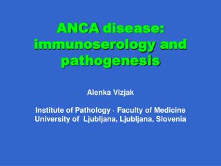 A NCA disease : i mmunoserology and p athogenesis