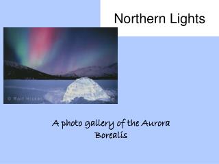 Northern Lights