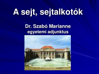A sejt, sejtalkotók Dr. Szabó Marianne egyetemi adjunktus