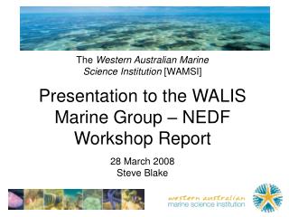 walis-marine-group-nedf-workshop-presentation-28-mar08-steveblake