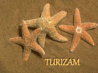 TURIZAM