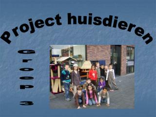 Project huisdieren