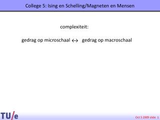 College 5: Ising en Schelling/Magneten en Mensen