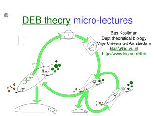 DEB theory micro-lectures