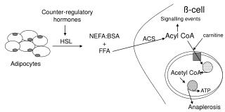 HSL