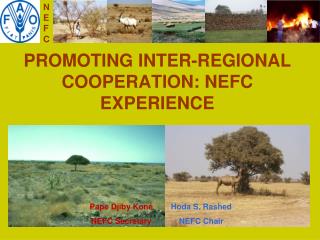 PROMOTING INTER-REGIONAL COOPERATION: NEFC EXPERIENCE